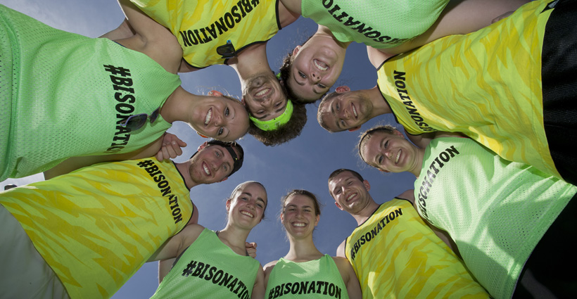 Reduced Bisonation for Homepage