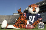 Auburn University Mascot (150)
