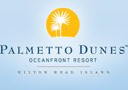 Blue Palmetto Dunes Logo 1