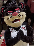 University of Cincinnati Mascot (150)