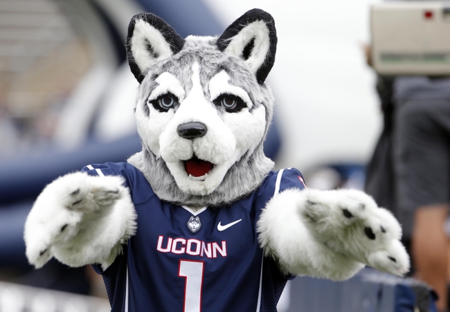 University+of+Connecticut+Mascot.jpg