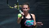 University of Florida - Player